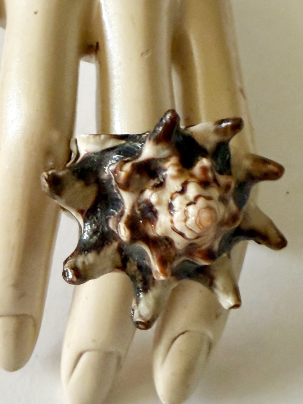 Hand Crafted Brown and Cream Star Shell Statement Ring